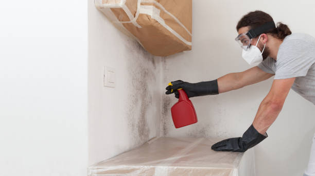 Professional Bathroom Mold Removal technician working in Floral Park, NY